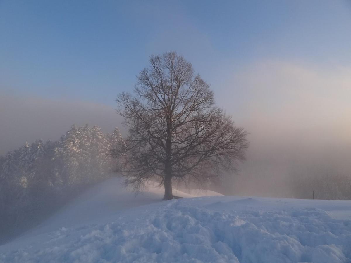 Haus Am Sternsberg Villa Sternenberg ภายนอก รูปภาพ