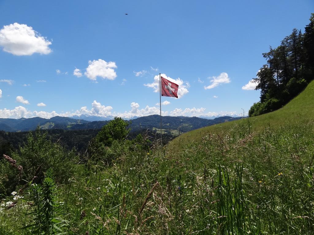 Haus Am Sternsberg Villa Sternenberg ภายนอก รูปภาพ