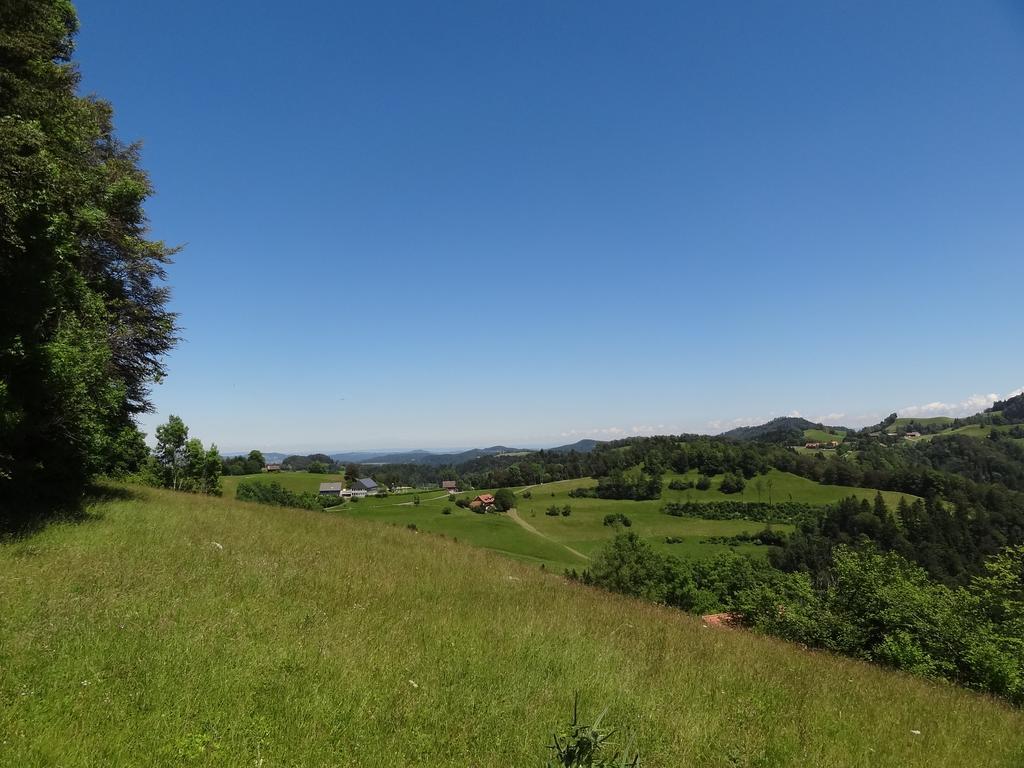 Haus Am Sternsberg Villa Sternenberg ภายนอก รูปภาพ